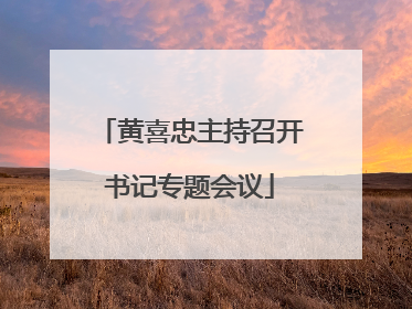 黄喜忠主持召开书记专题会议