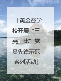 黄金谷学校开展“三亮三比”党员先锋示范系列活动