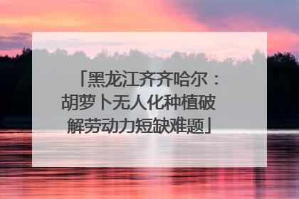 黑龙江齐齐哈尔：胡萝卜无人化种植破解劳动力短缺难题