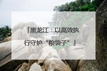 黑龙江：以高效执行守护“粮袋子”