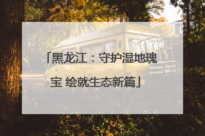 黑龙江：守护湿地瑰宝 绘就生态新篇