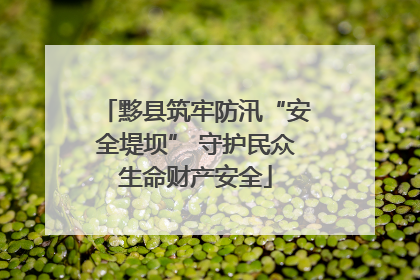 黟县筑牢防汛“安全堤坝” 守护民众生命财产安全