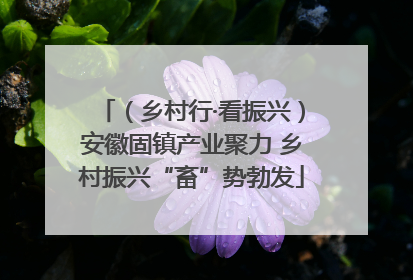 （乡村行·看振兴）安徽固镇产业聚力 乡村振兴“畜”势勃发