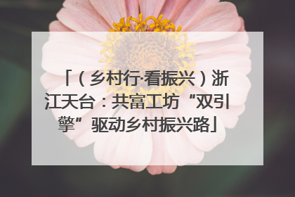 （乡村行·看振兴）浙江天台：共富工坊“双引擎”驱动乡村振兴路