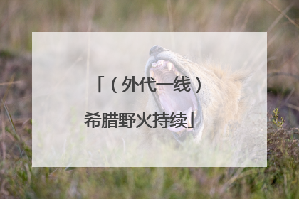 （外代一线）希腊野火持续