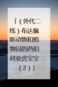 （外代二线）布达佩斯动物和植物园的西伯利亚虎宝宝（2）