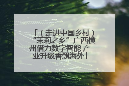 （走进中国乡村）“茉莉之乡”广西横州借力数字智能 产业升级香飘海外