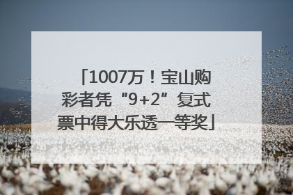 1007万！宝山购彩者凭“9+2”复式票中得大乐透一等奖