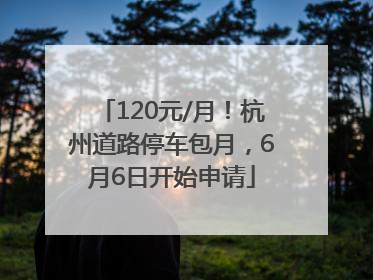 120元/月！杭州道路停车包月，6月6日开始申请