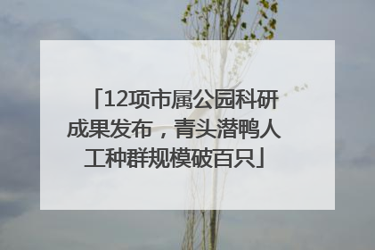 12项市属公园科研成果发布，青头潜鸭人工种群规模破百只