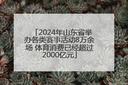2024年山东省举办各类赛事活动8万余场 体育消费已经超过2000亿元