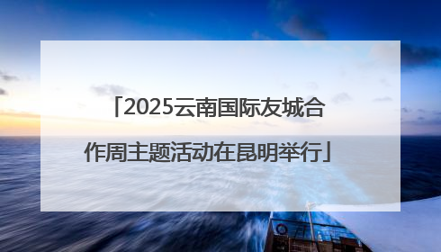 2025云南国际友城合作周主题活动在昆明举行