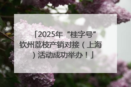 2025年“桂字号”钦州荔枝产销对接（上海）活动成功举办！