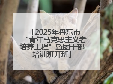 2025年丹东市“青年马克思主义者培养工程”暨团干部培训班开班