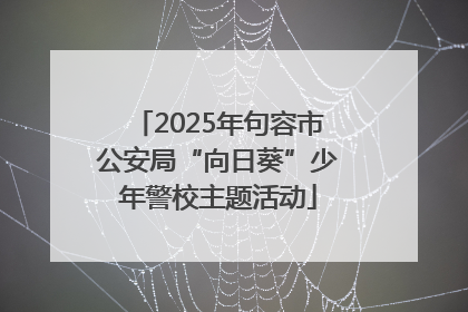 2025年句容市公安局“向日葵”少年警校主题活动