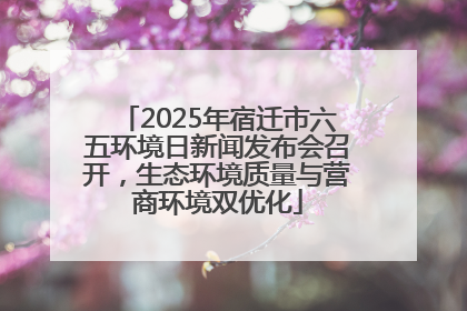 2025年宿迁市六五环境日新闻发布会召开，生态环境质量与营商环境双优化