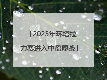 2025年环塔拉力赛进入中盘鏖战