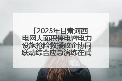 2025年甘肃河西电网大面积停电暨电力设施抢险救援政企协同联动综合应急演练在武威成功举行