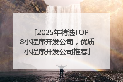2025年精选TOP8小程序开发公司，优质小程序开发公司推荐