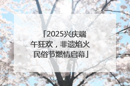 2025兴庆端午狂欢，非遗焰火民俗节燃情启幕