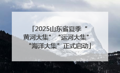 2025山东省夏季“黄河大集”“运河大集”“海洋大集”正式启动