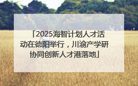 2025海智计划人才活动在德阳举行，川渝产学研协同创新人才港落地