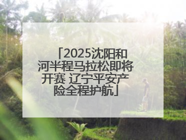 2025沈阳和河半程马拉松即将开赛 辽宁平安产险全程护航