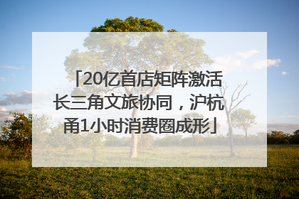 20亿首店矩阵激活长三角文旅协同，沪杭甬1小时消费圈成形