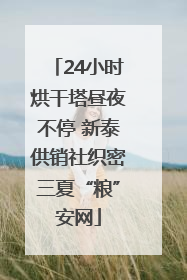 24小时烘干塔昼夜不停 新泰供销社织密三夏“粮”安网