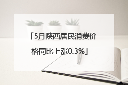 5月陕西居民消费价格同比上涨0.3%
