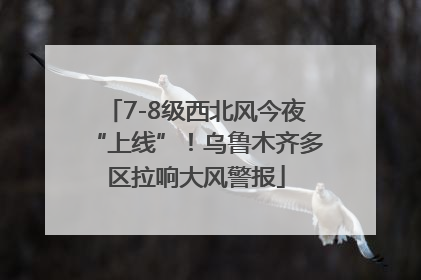 7-8级西北风今夜“上线”！乌鲁木齐多区拉响大风警报