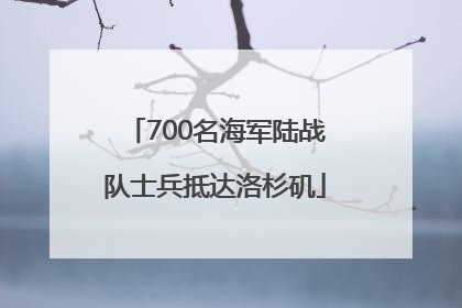 700名海军陆战队士兵抵达洛杉矶