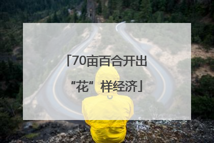 70亩百合开出“花”样经济