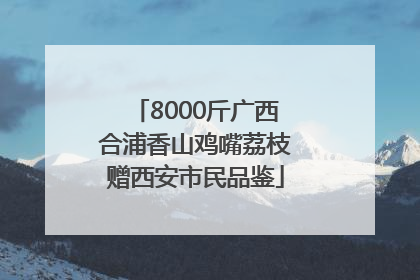 8000斤广西合浦香山鸡嘴荔枝赠西安市民品鉴