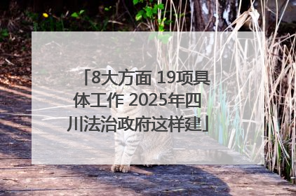 8大方面 19项具体工作 2025年四川法治政府这样建