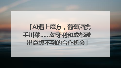AI遇上魔方，葡萄酒携手川菜……匈牙利和成都碰出意想不到的合作机会