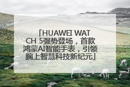 HUAWEI WATCH 5强势登场，首款鸿蒙AI智能手表，引领腕上智慧科技新纪元