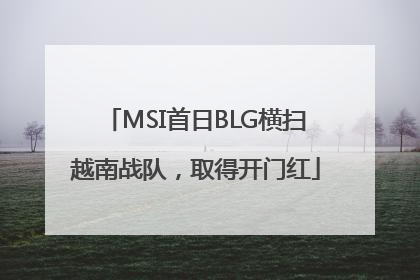 MSI首日BLG横扫越南战队，取得开门红