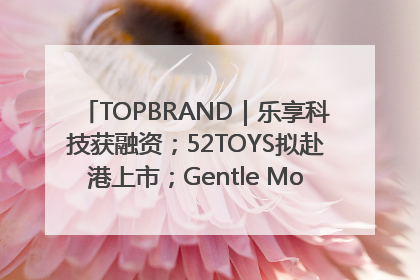 TOPBRAND｜乐享科技获融资；52TOYS拟赴港上市；Gentle Monster合作谷歌；Valentino传播官离职
